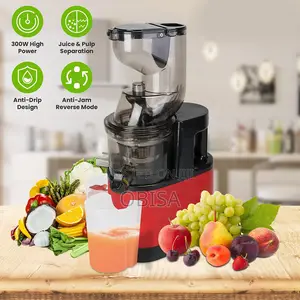 Slow Juicer Machine
