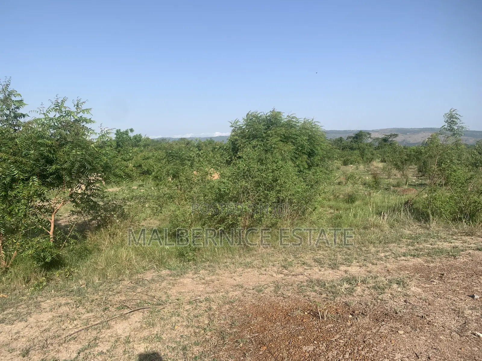 Well Demarcated Land for Sale