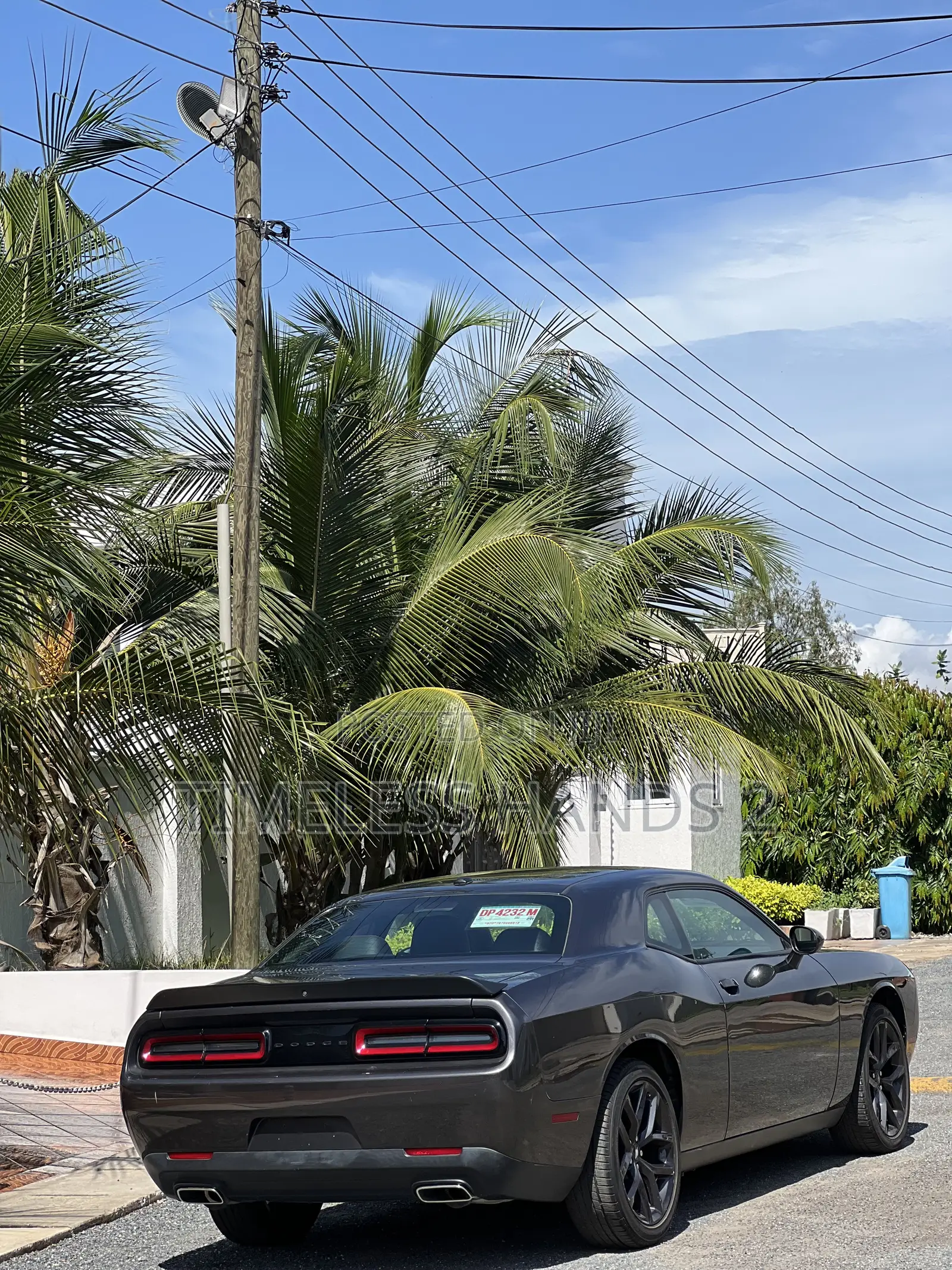 Dodge Challenger 2021 Black