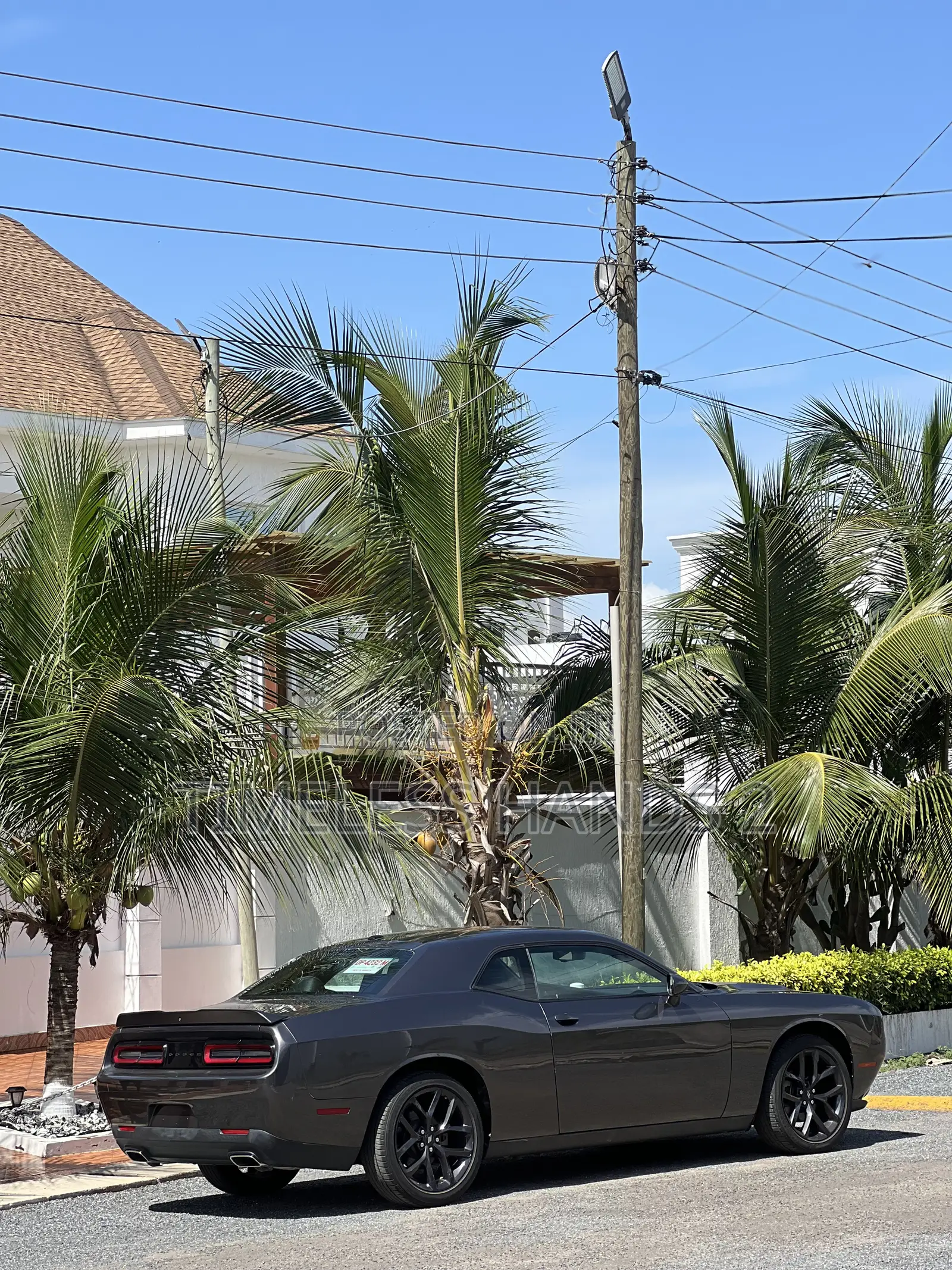Dodge Challenger 2021 Black