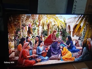 Samsung 43-Inch Digital Smart Entertainment Screen
