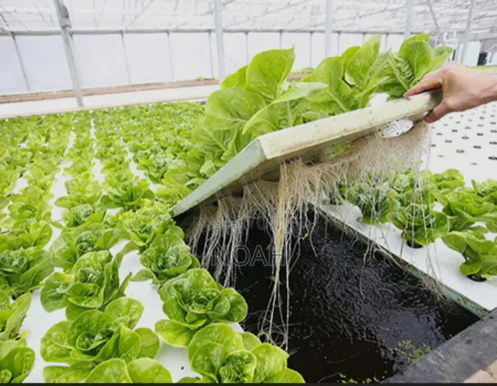 Farmhand Assistant Wanted - Agric Background A Must