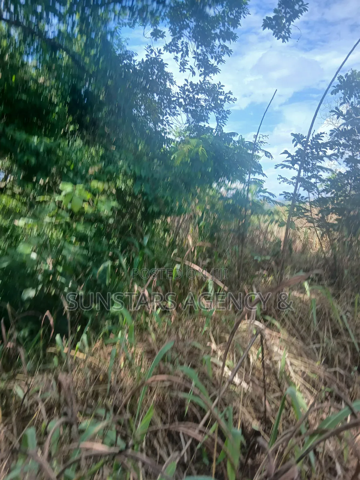 Hill-Top Land for Sale in Hohoe
