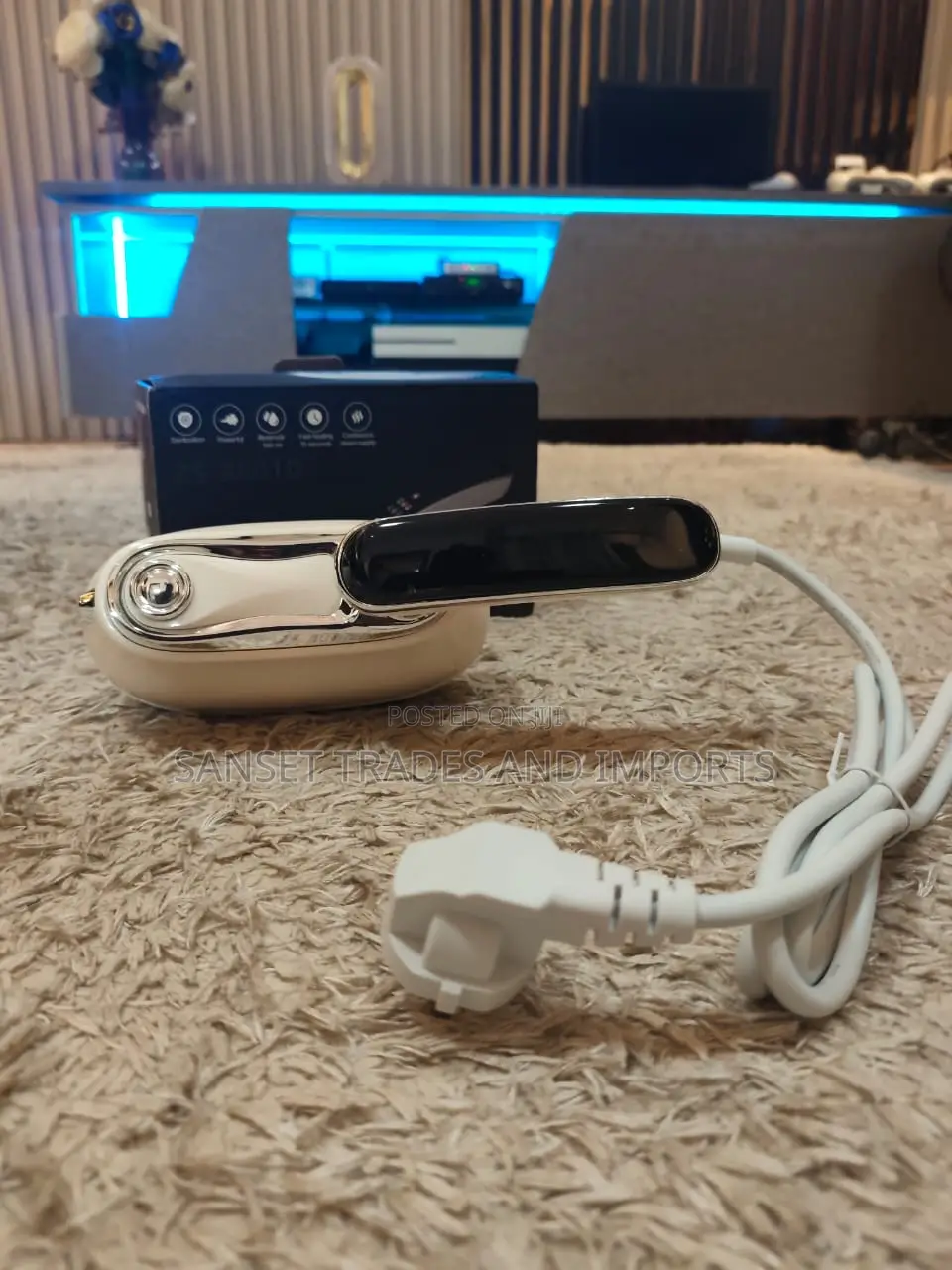 Mini Electric Steamer Iron