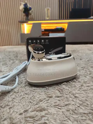 Mini Electric Steamer Iron