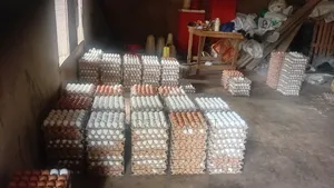 Fresh Eggs