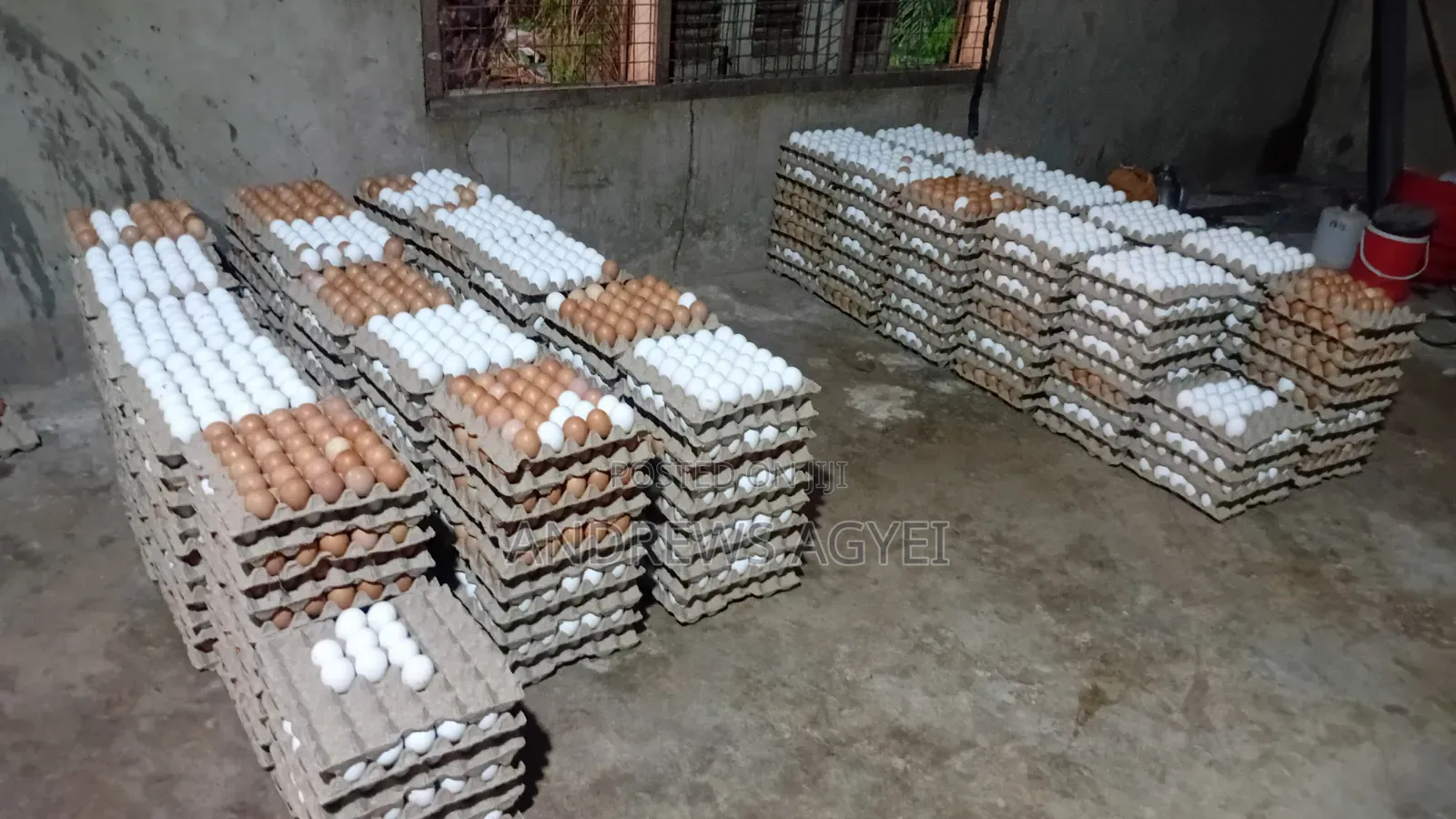 Fresh Eggs