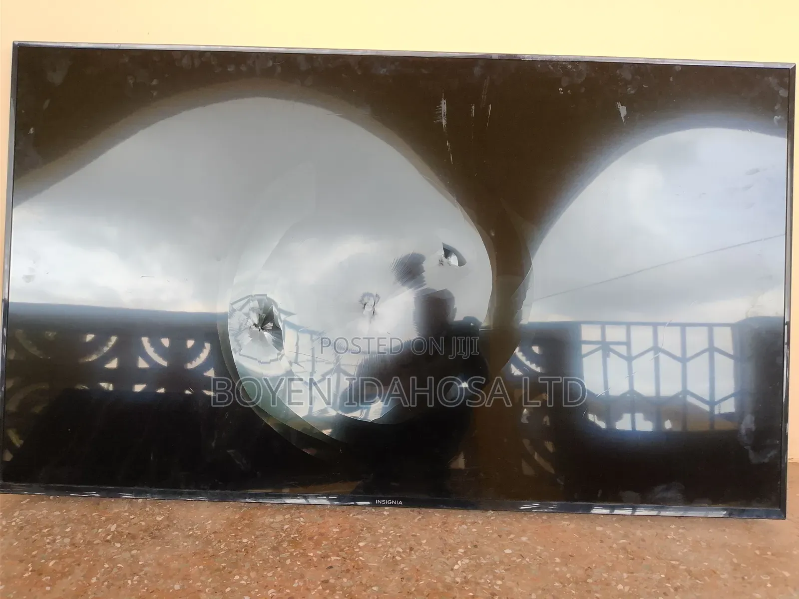 Damage Screen Plasmas Tv