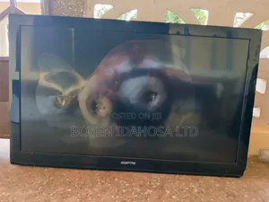 Damage Screen Plasmas Tv