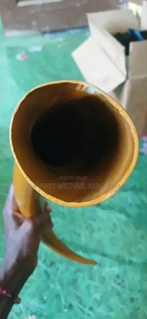 Horn - Polished Cow Horn for Spiritual Works