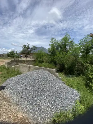 Half Plot of Land