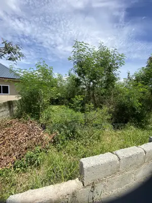 Half Plot of Land