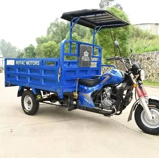 Tricycle 2024 Blue