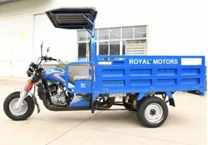 Tricycle 2024 Blue