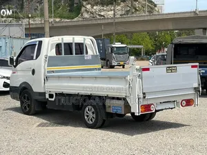 Hyundai Porter 2019 Ready for Shipping