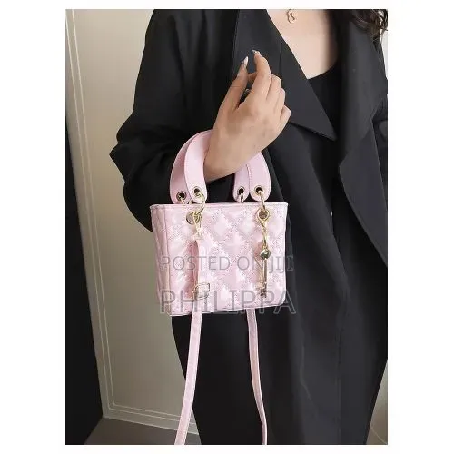 Affordable Ladies Bags