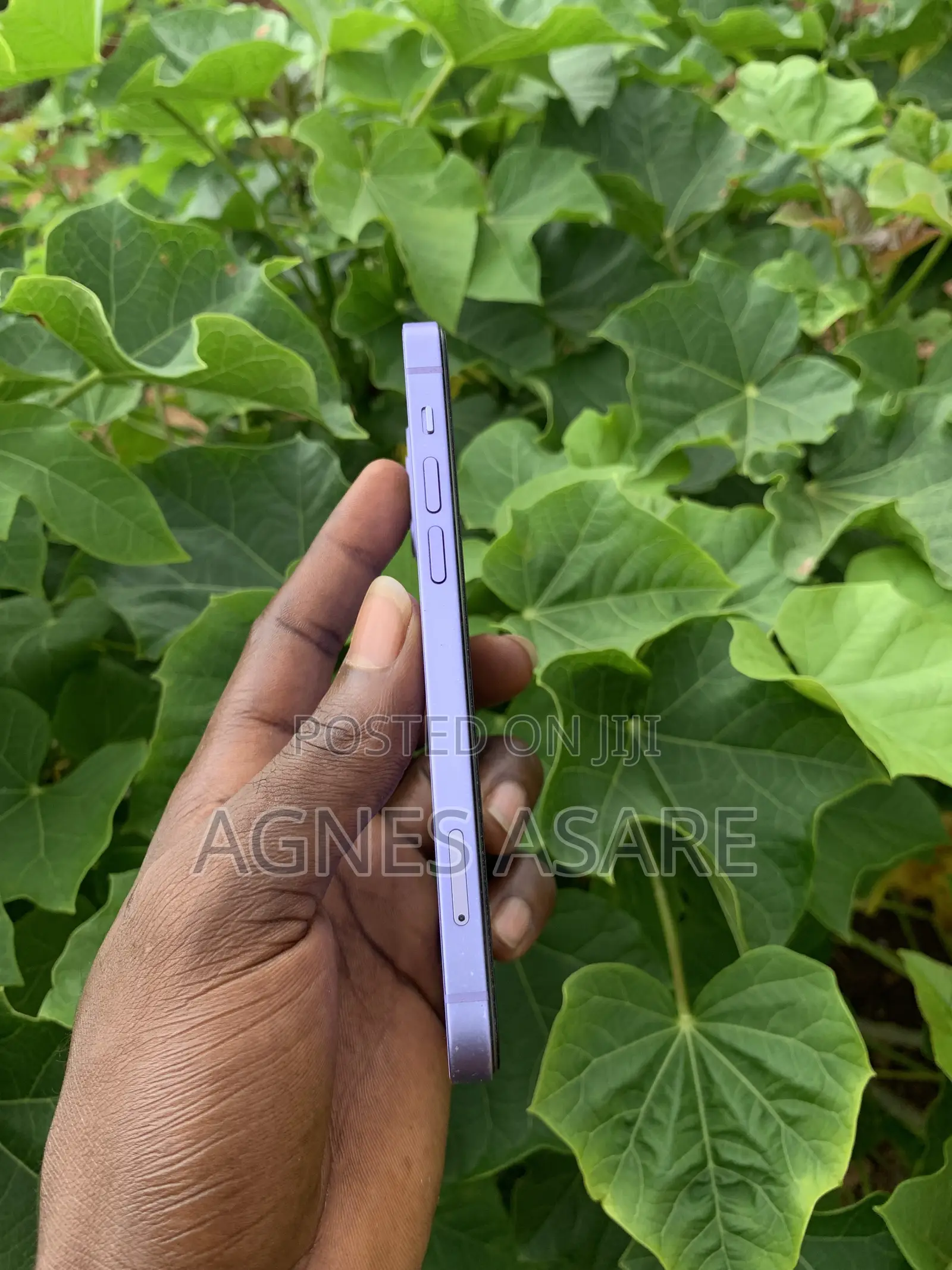 Apple iPhone 12 64 GB Purple