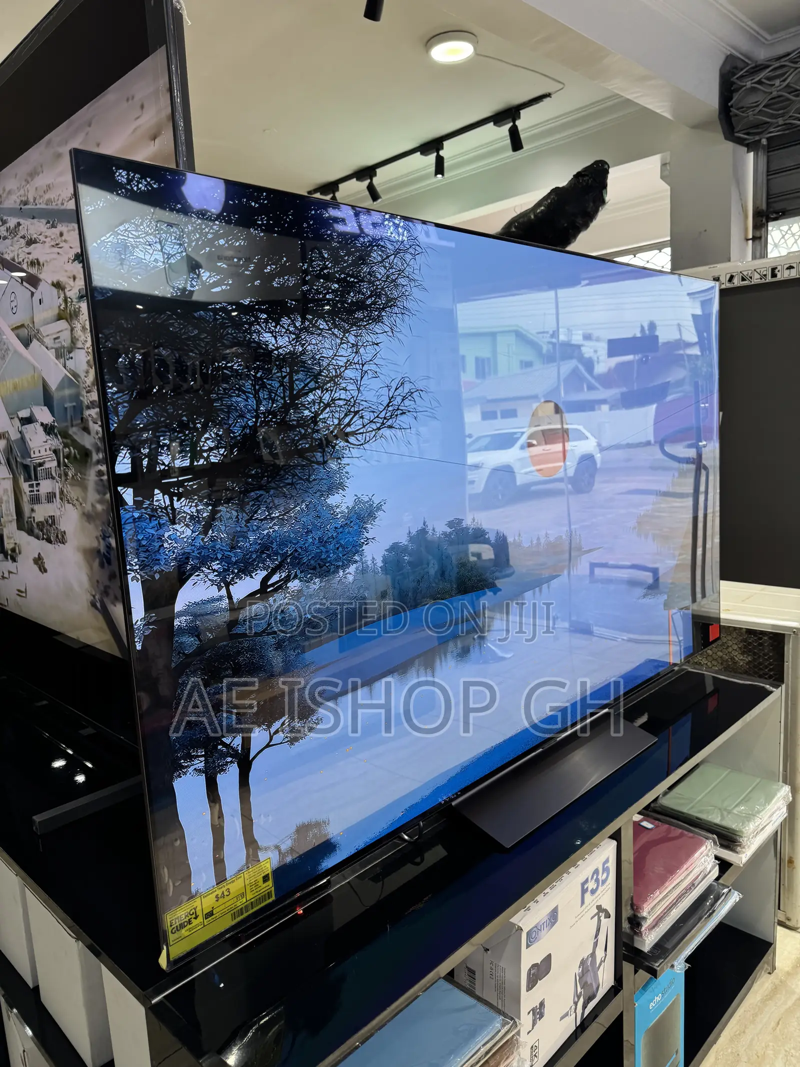 L.G 65” Oled C4 Tv
