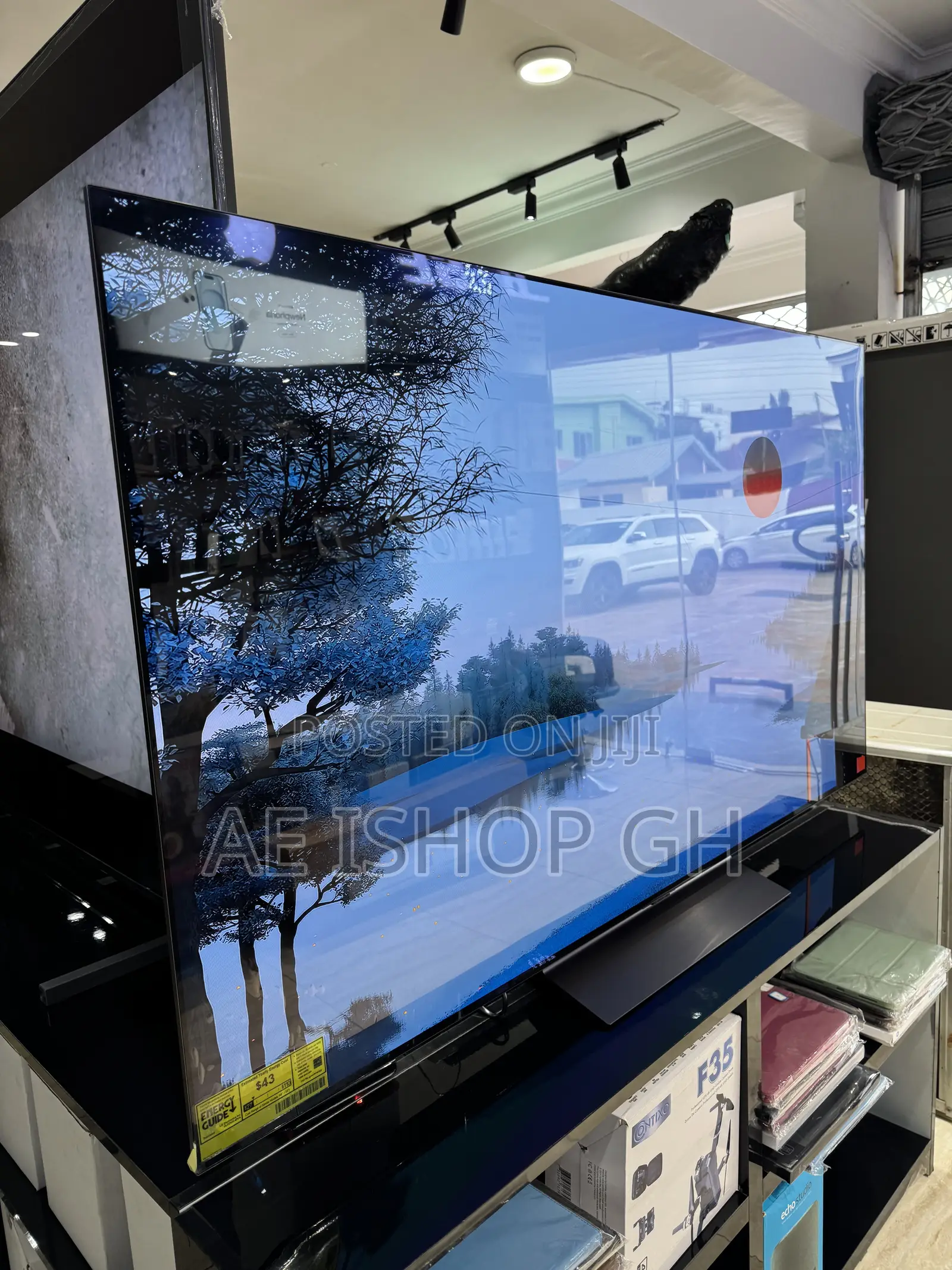 L.G 65” Oled C4 Tv