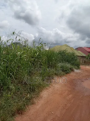 Plot of Land 80/90 Asuofua Kokoben Hi