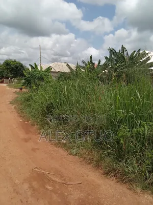 Plot of Land 80/90 Asuofua Kokoben Hi