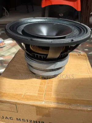 Jac Jt12d 12inches Professional Coaxial Naked Speaker(1pair)
