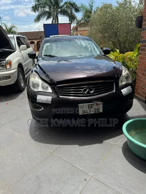 Infiniti EX 2008 Brown