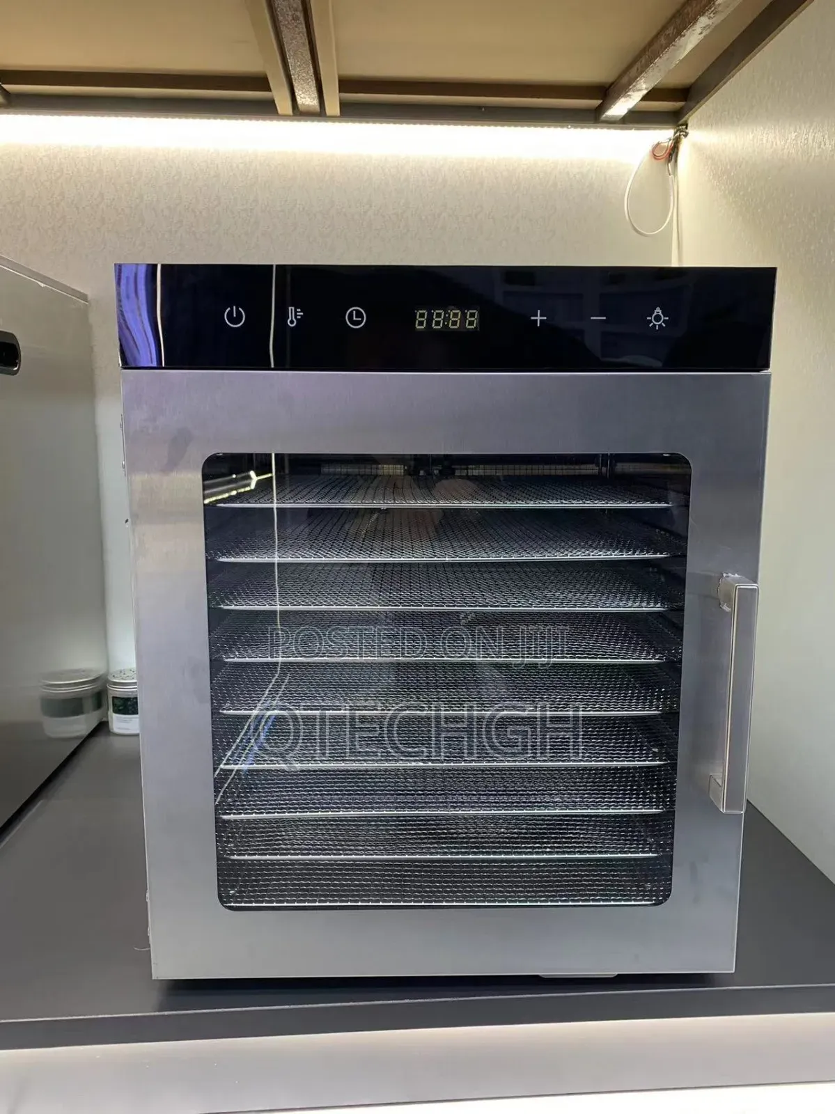 10 Trays Commercial Dehydrator