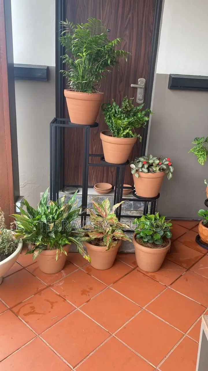 Modern Indoor Outdoor Planters for Sale
