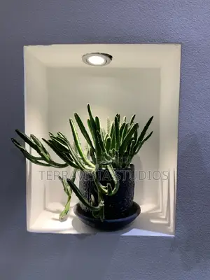 Modern Indoor Outdoor Planters for Sale