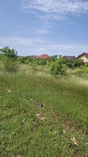 Land 70 by 100