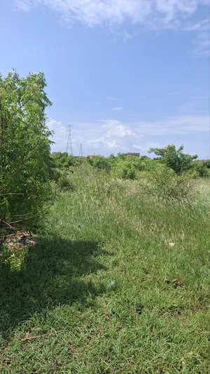 Land 70 by 100