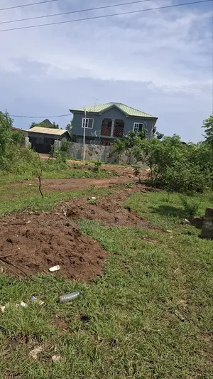 Land 70 by 100