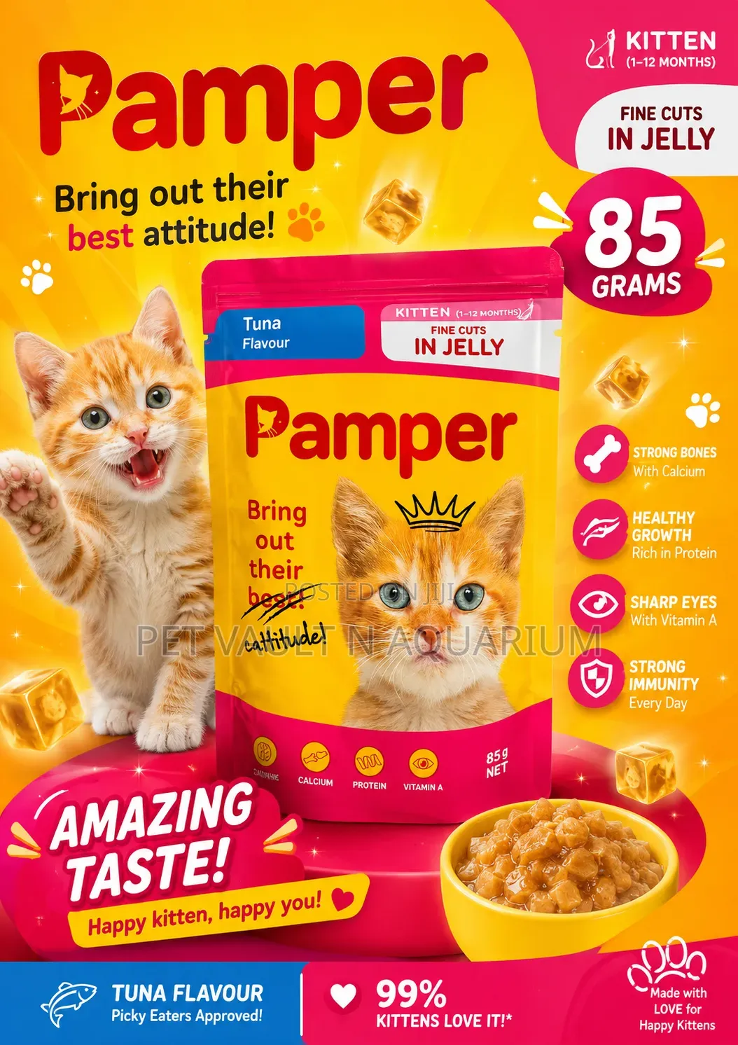 Pamper Kitten Feed