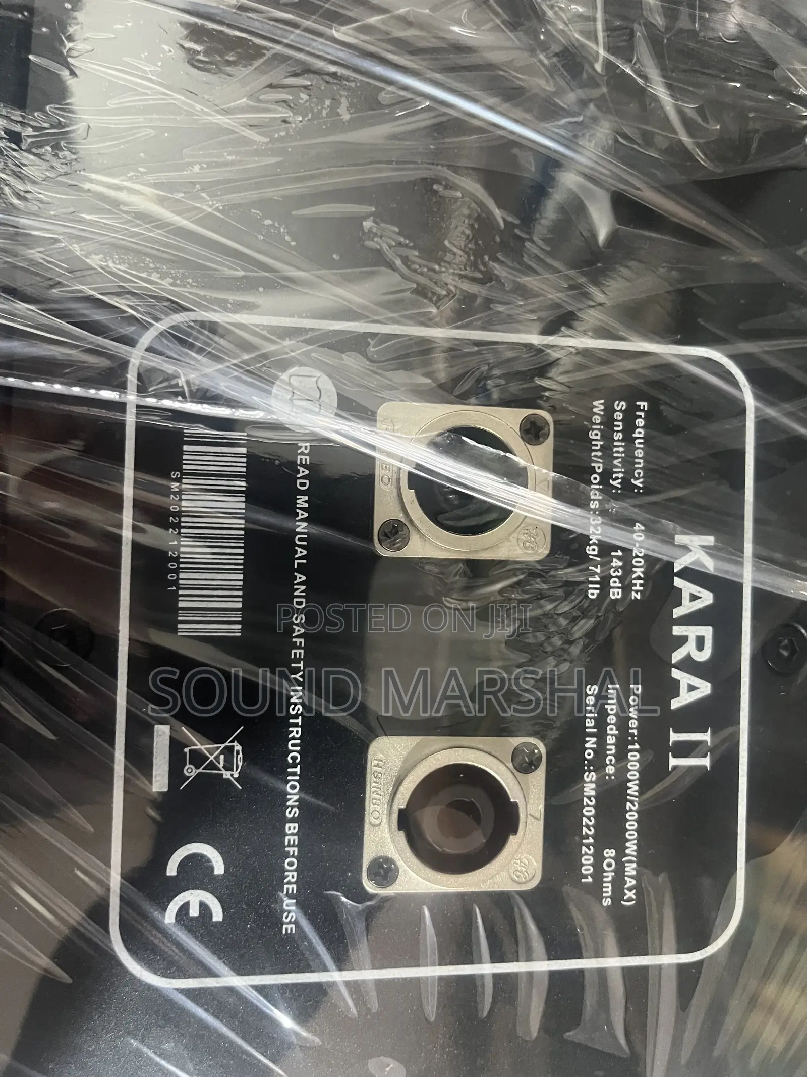 Kara 10 Inches Line Array Speaker