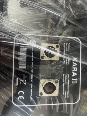 Kara 10 Inches Line Array Speaker