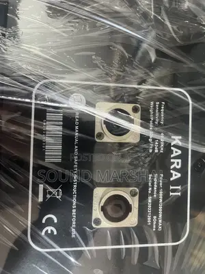 Kara 10 Inches Line Array Speaker