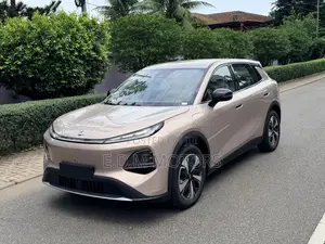 New Car 2025 Beige