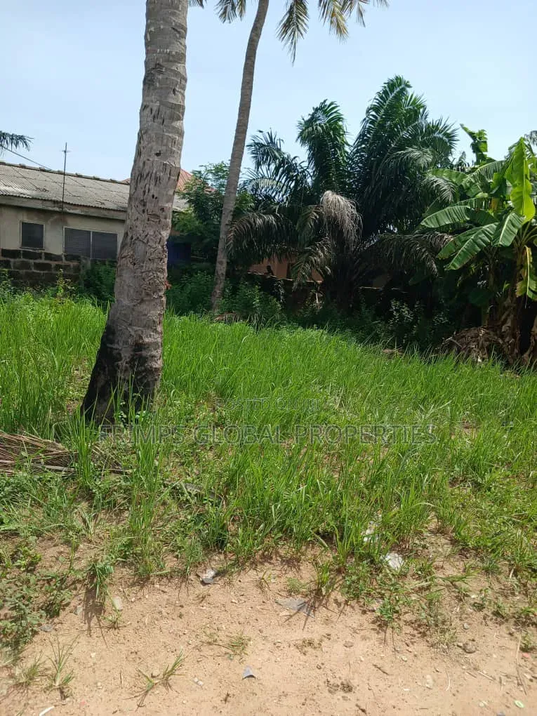 Titled Plot of Land at Dansoman for Sale