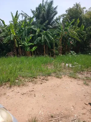 Titled Plot of Land at Dansoman for Sale