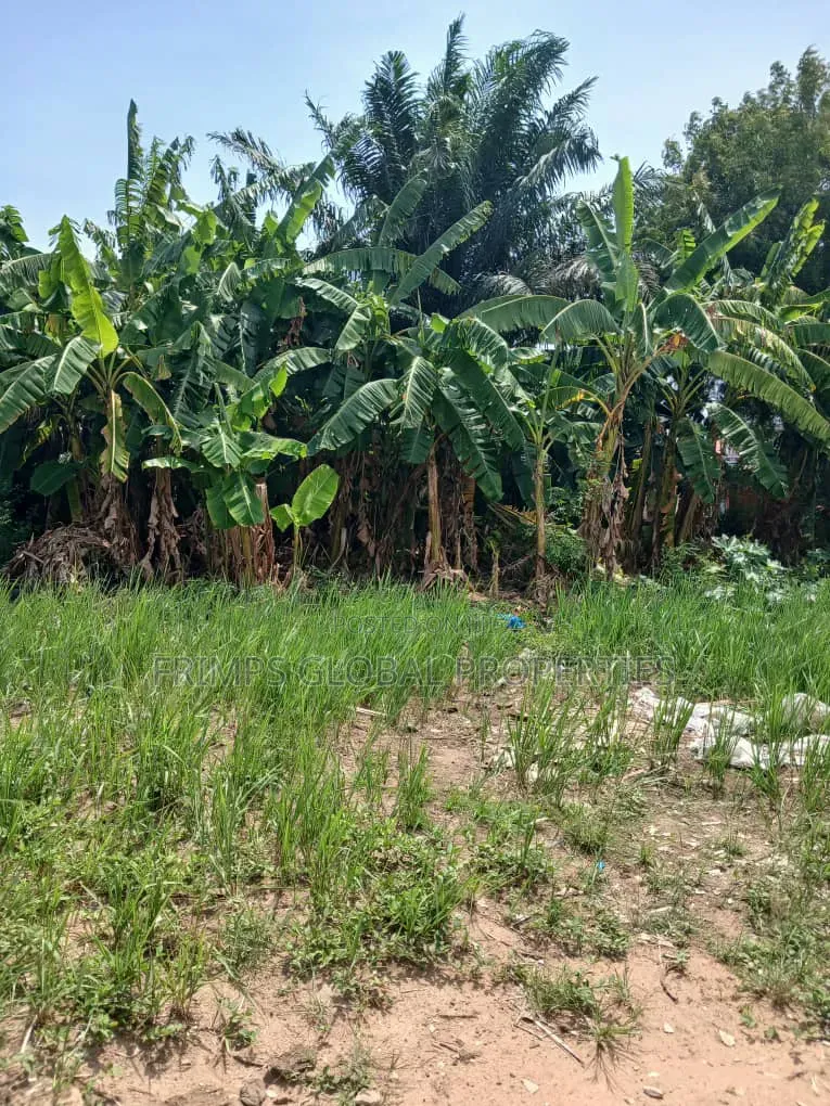 Titled Plot of Land at Dansoman for Sale