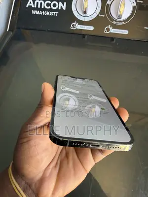 Apple iPhone 13 Pro Max 256 GB Green