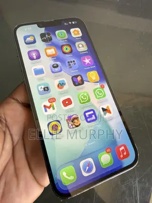 Apple iPhone 13 Pro Max 256 GB Green