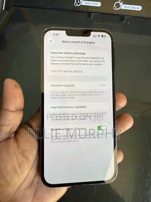 Apple iPhone 13 Pro Max 256 GB Green