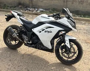 Kawasaki Ninja 300 2013 White