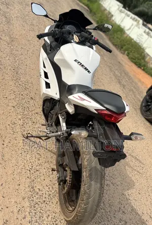 Kawasaki Ninja 300 2013 White
