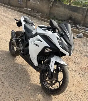 Kawasaki Ninja 300 2013 White