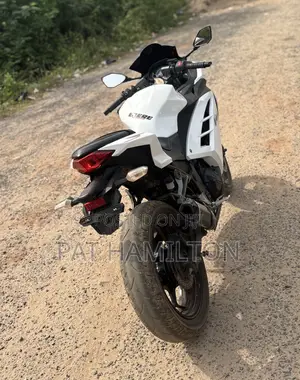 Kawasaki Ninja 300 2013 White
