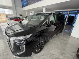 New Hongqi E-HS9 Flagship 2025 Black
