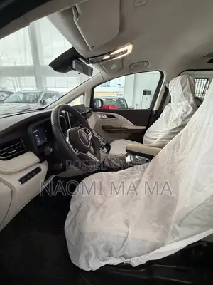 New Hongqi E-HS9 Flagship 2025 Black
